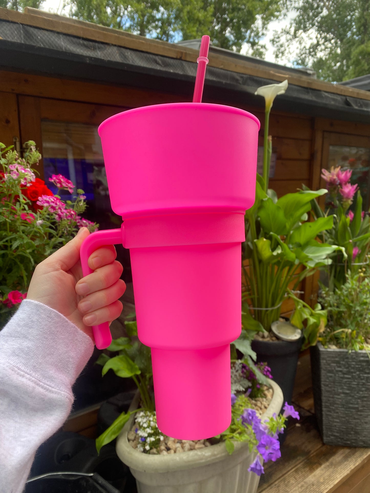 Snack Cups