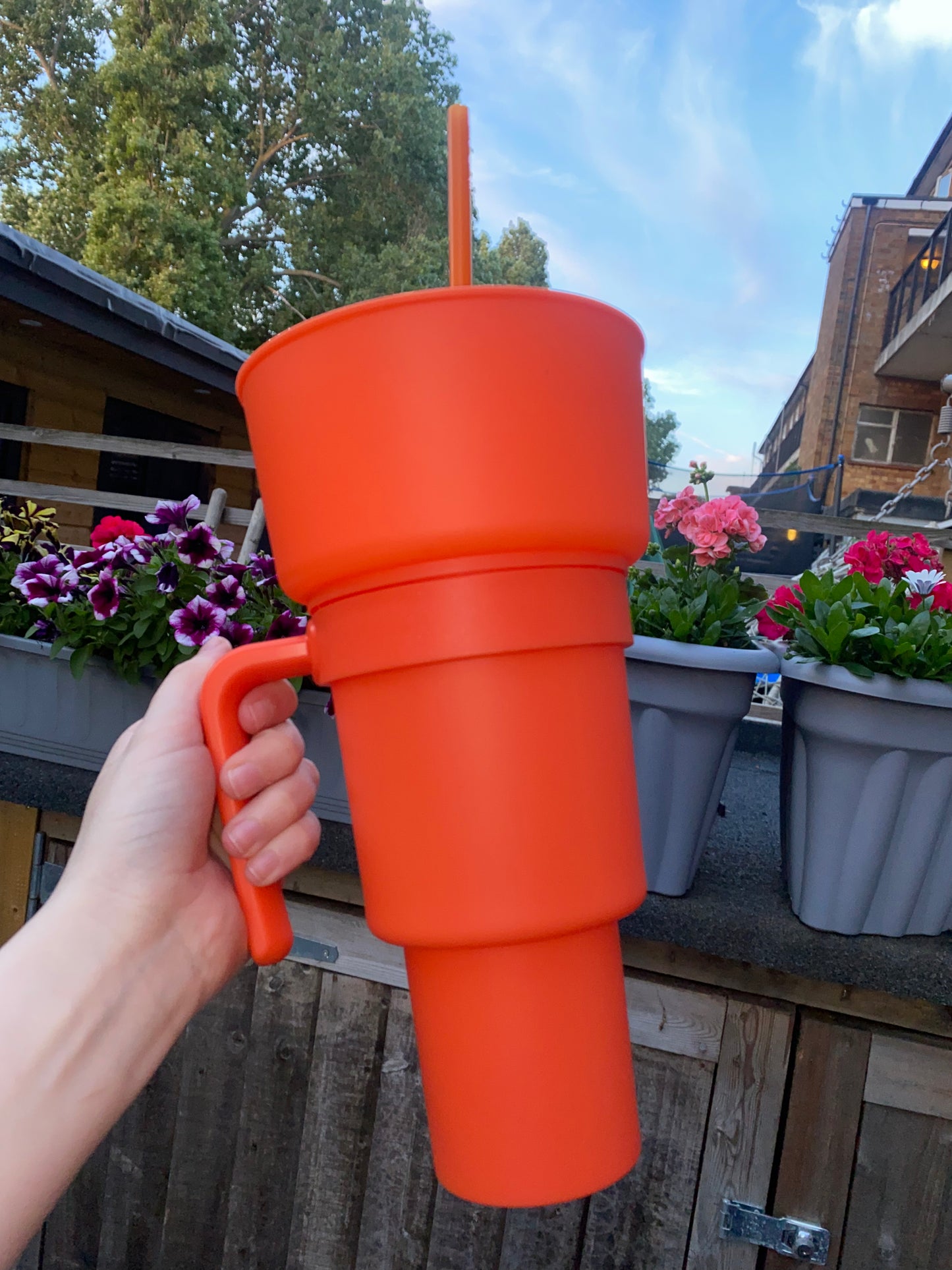 Snack Cups